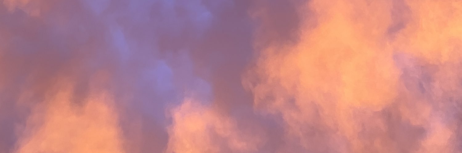Vinikys's profile banner image