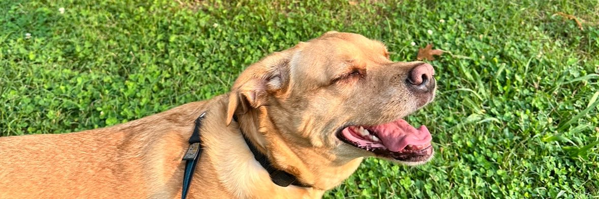 dothesaulsa's profile banner image