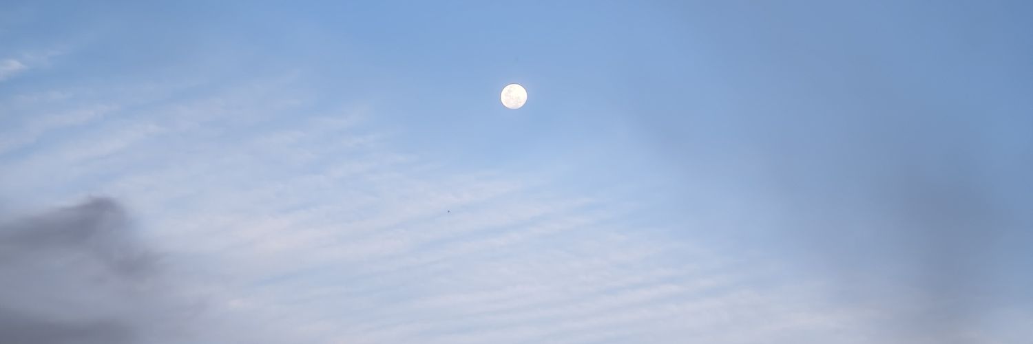 katy_areco's profile banner image