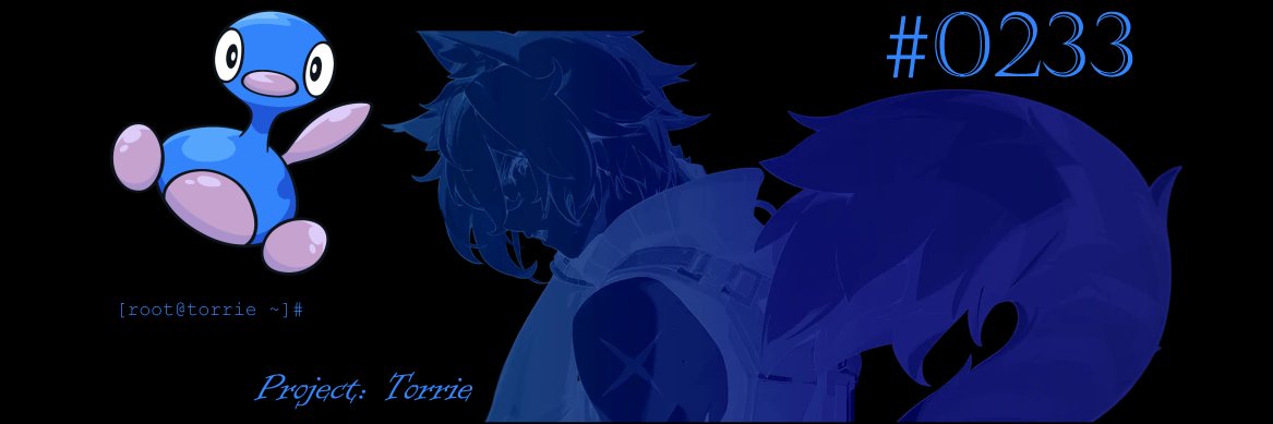 #0233 - Project: Torrie banner