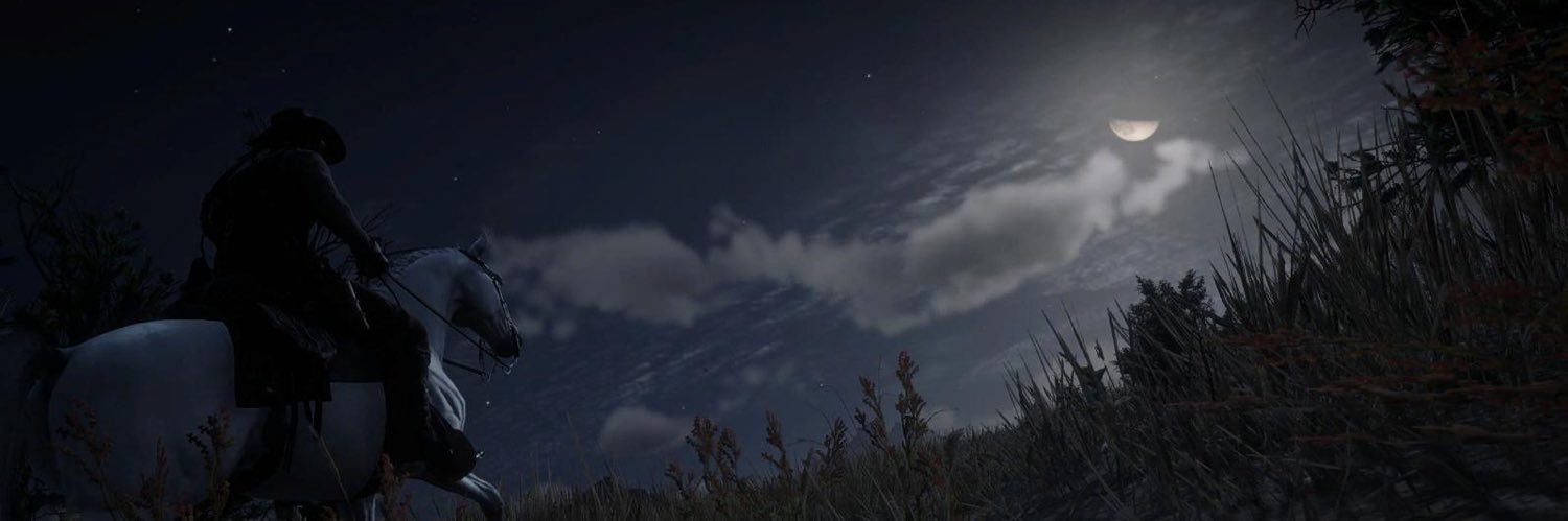 Arthur Morgan banner