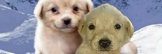 Mmmano OPEN SLOTS 2/3 banner