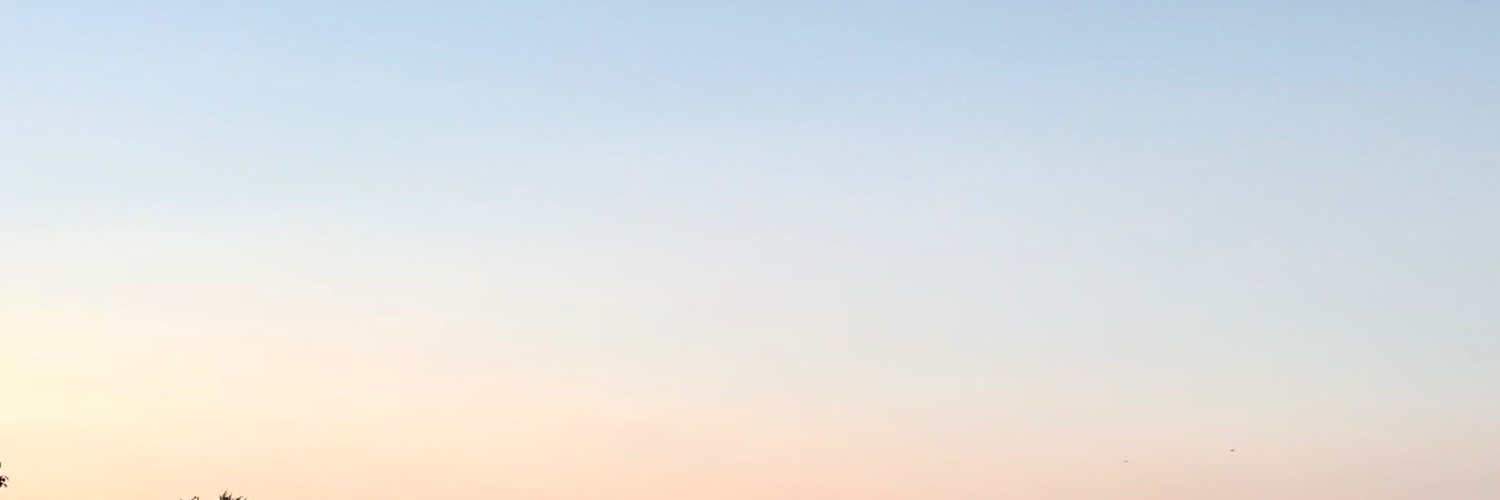 OoMarioO511's profile banner image