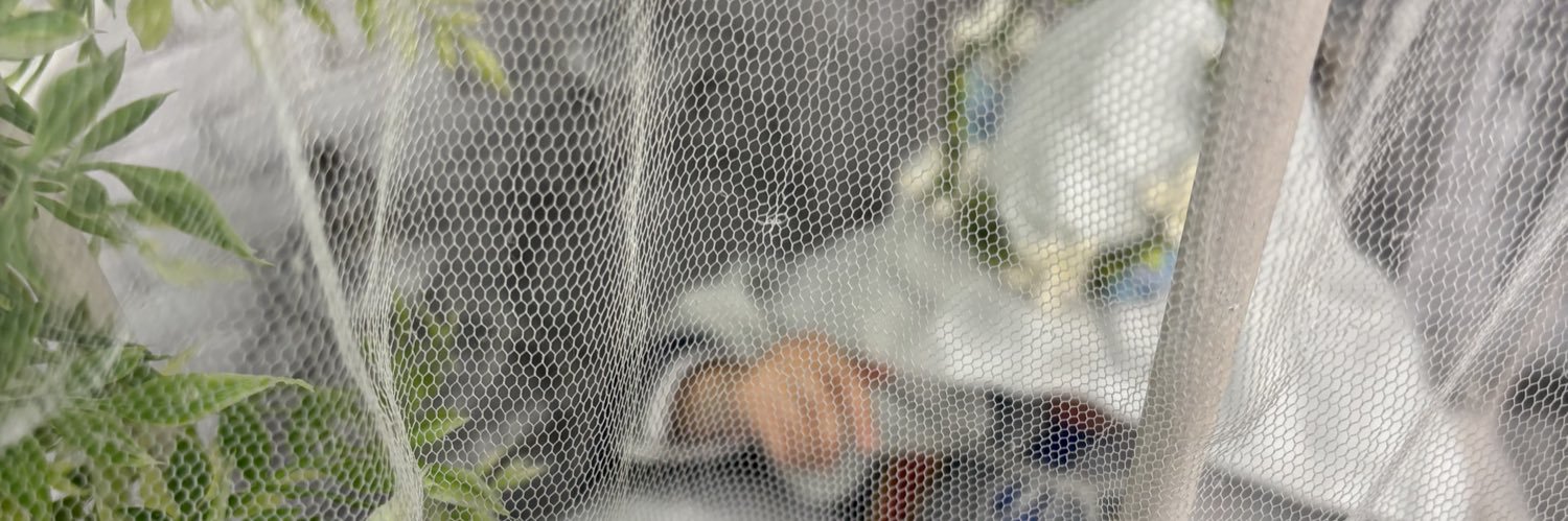 すめらぎ🍒ྀི banner