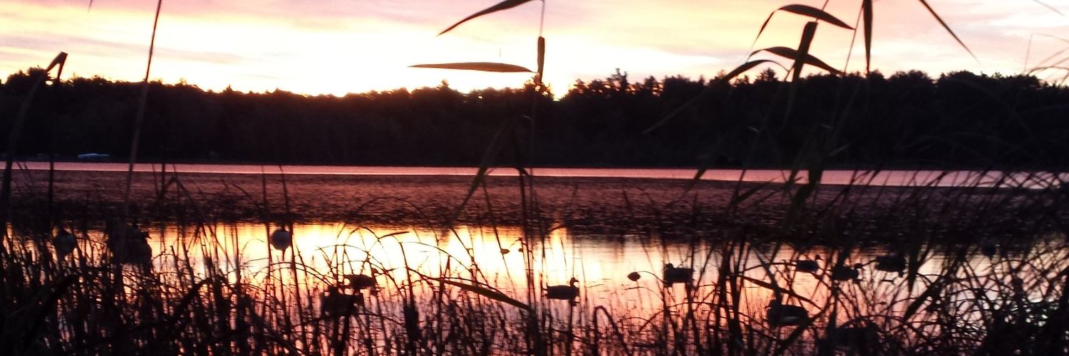 helpyourselfbob's profile banner image