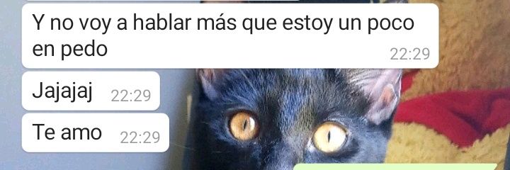 sofiautero's profile banner image