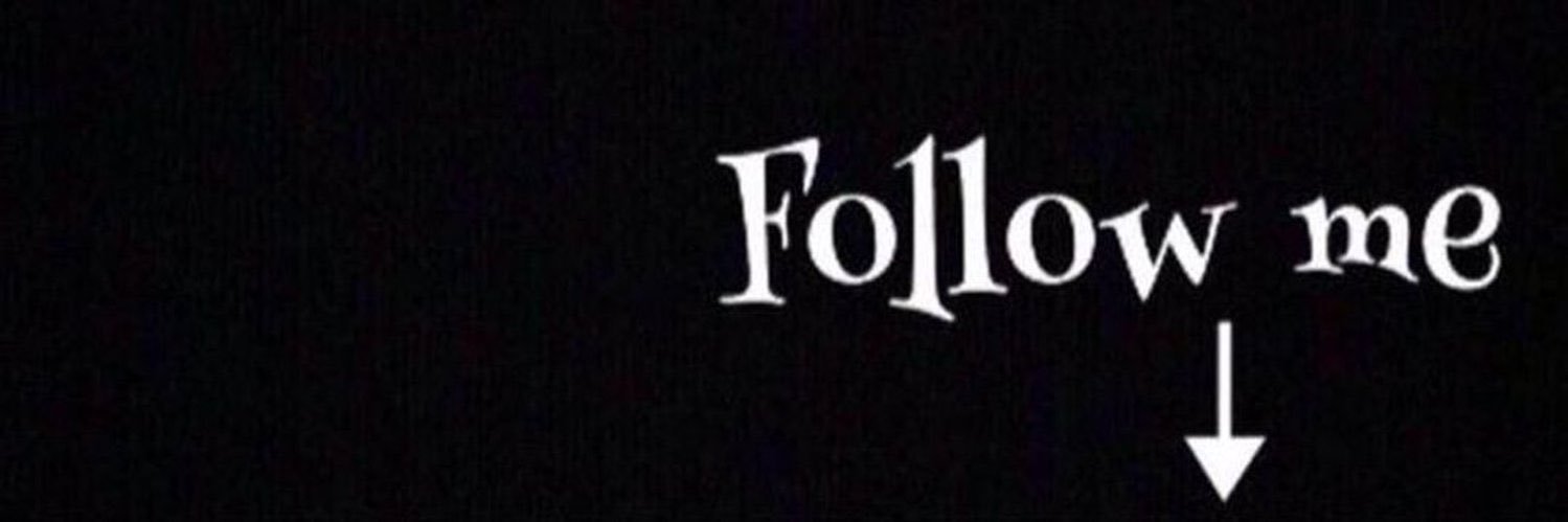 🐻🐻 banner