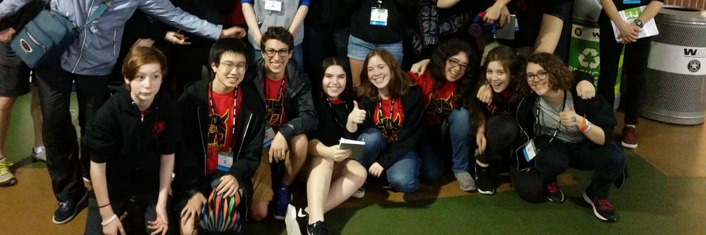 Viking Robotics Team 2928 banner