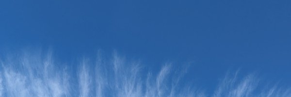 joelwerner Profile Banner