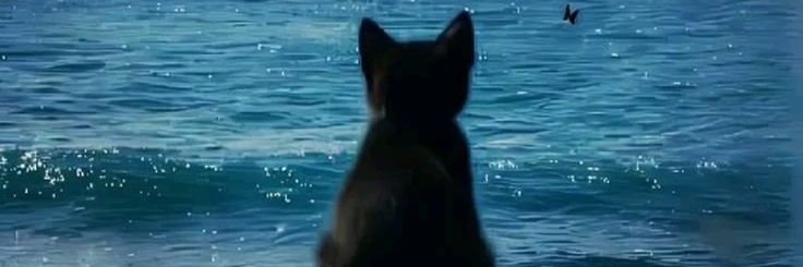 quiphany's profile banner image