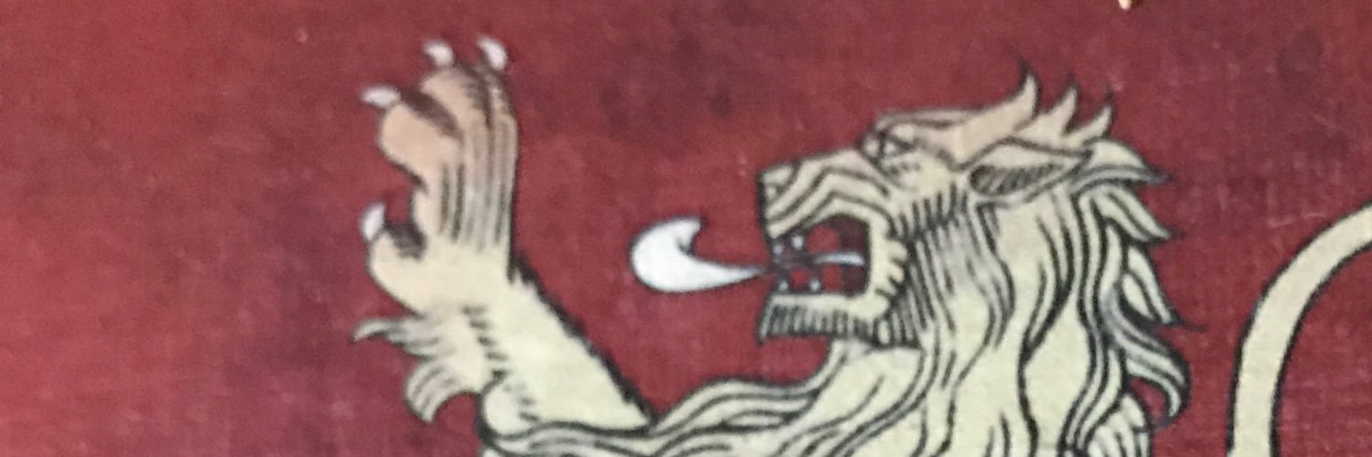 astridluise's profile banner image