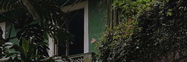 _nikkinichole_'s profile banner image