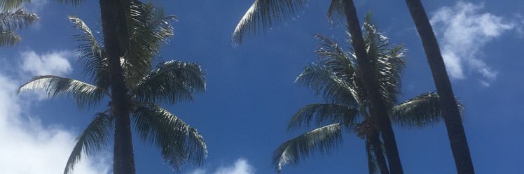 bobbyreilly28's profile banner image
