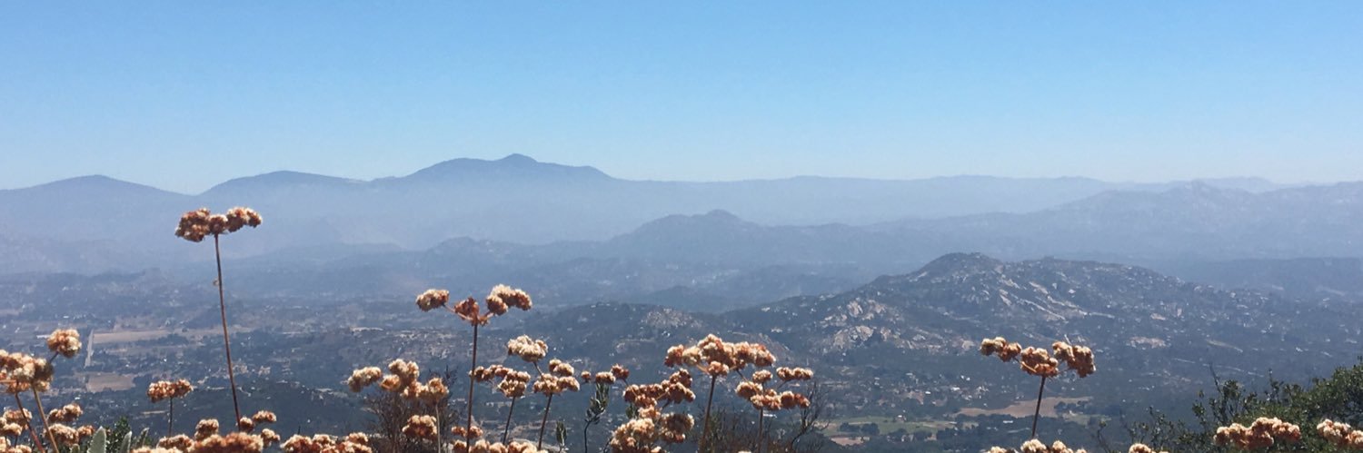 maddsfree's profile banner image