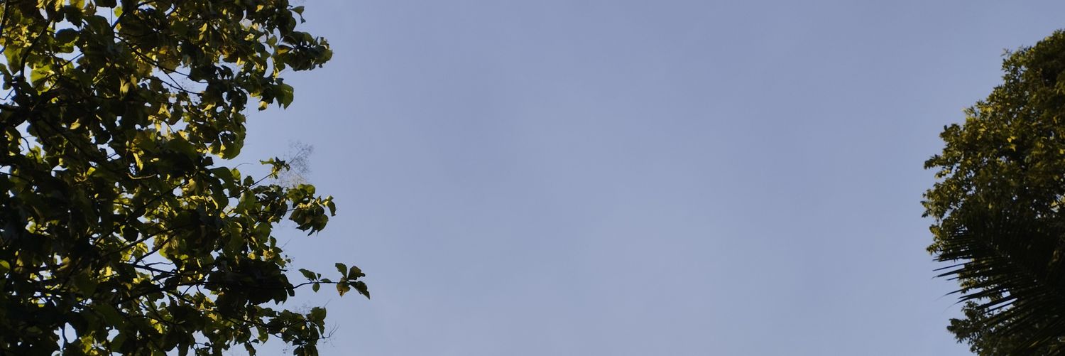 hepi96's profile banner image