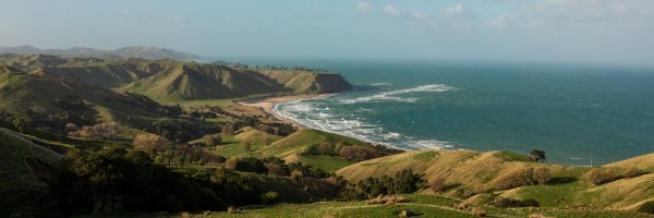 ZIWIPets Profile Banner