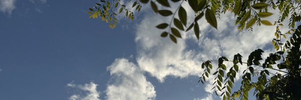 arabelladevine Profile Banner