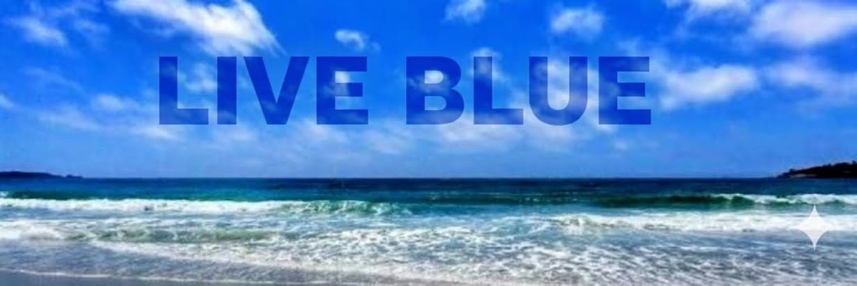K 💙🇺🇲 banner