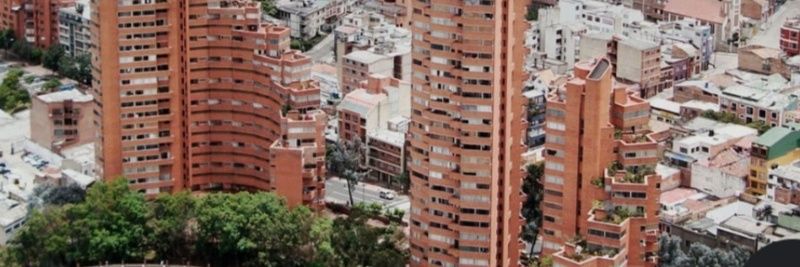 Claudia Patricia 🐾❄️🌐 banner