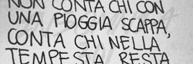 Fabrizio Barontini banner