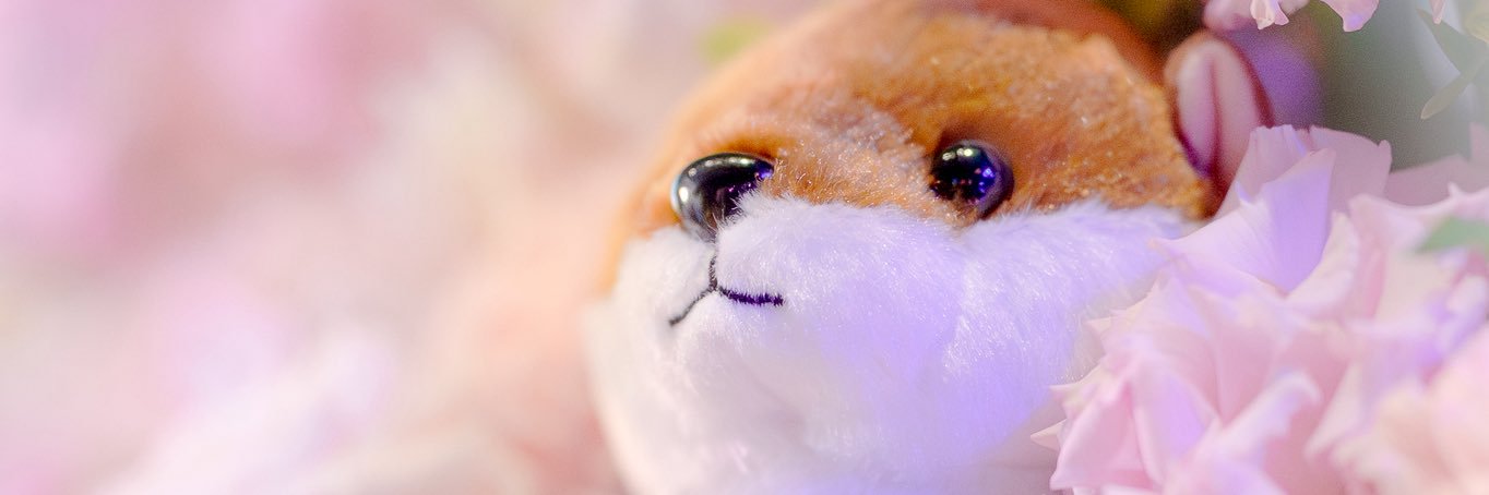 🐶かわうそくらぶ🐶 banner