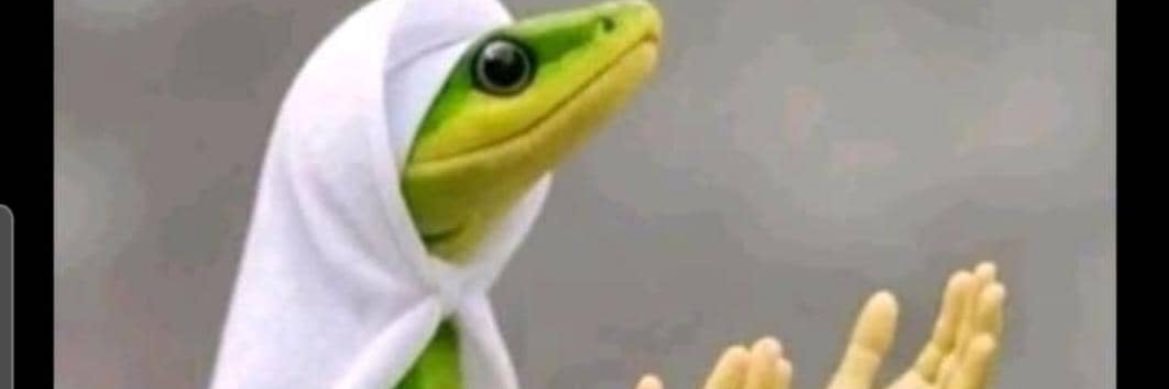 Odunayo Wisdom banner