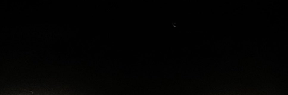 forest3303's profile banner image
