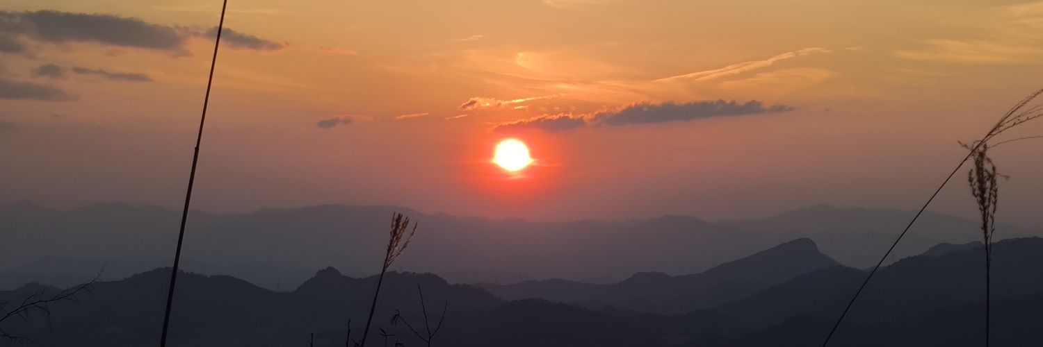 lwang__'s profile banner image