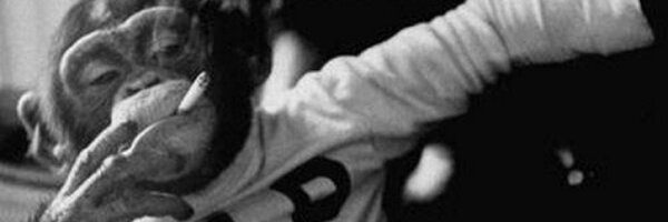 kinnaird19 Profile Banner