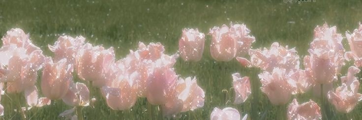 HeyIamEve's profile banner image