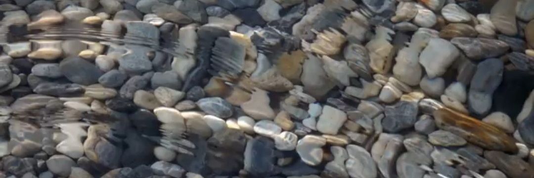 cysurfer0's profile banner image