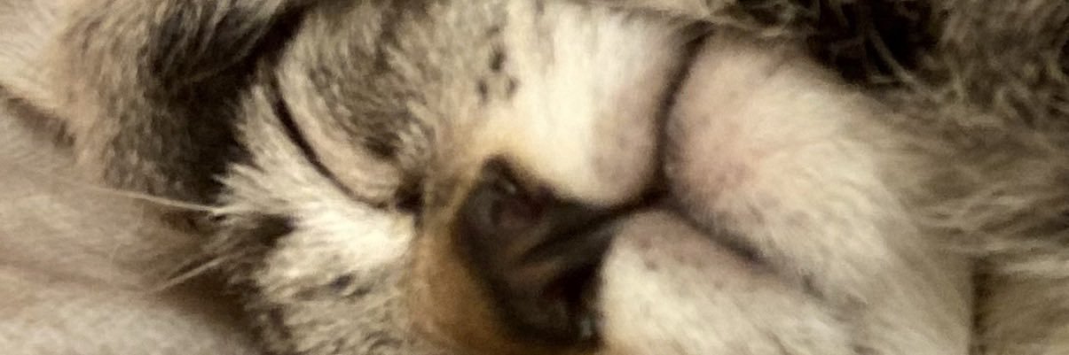 *･なつめ@スキルス胃がん全摘▶︎SOX＋ニボルマブ banner