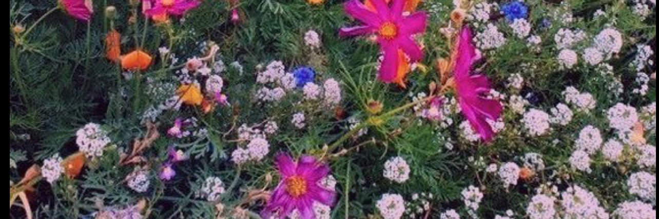 thehealinghun's profile banner image