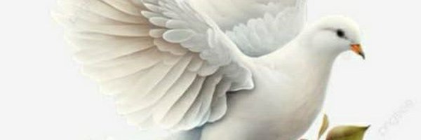 Supriya_mehta02 Profile Banner