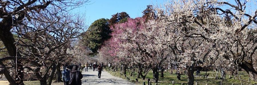akito8751's profile banner image