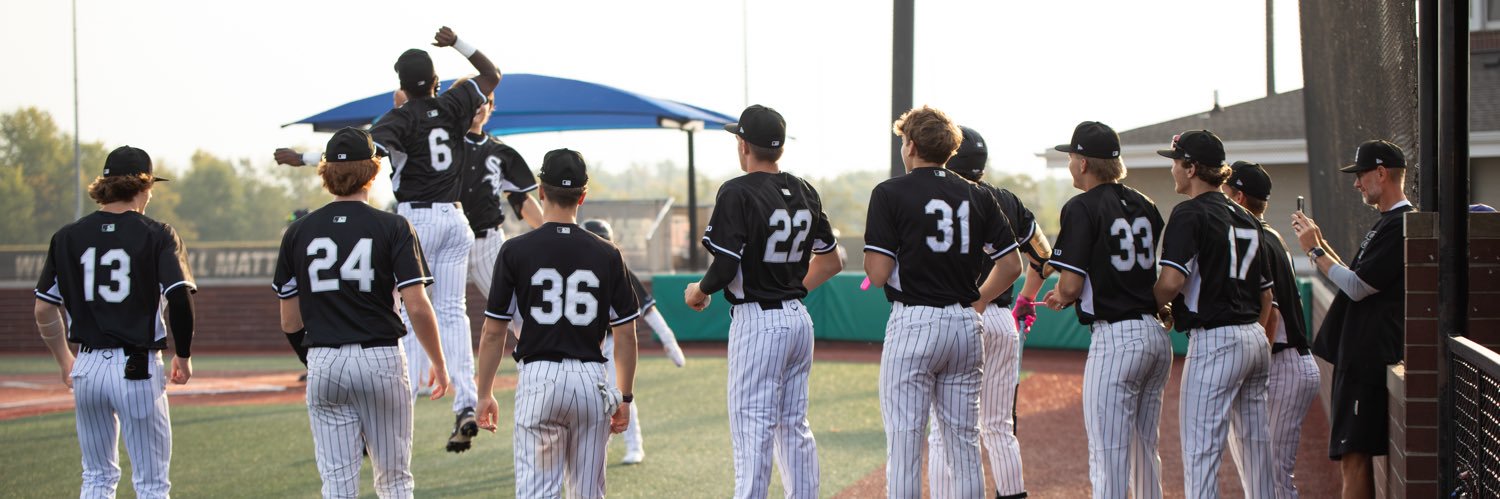 Chicago White Sox Scout Team banner