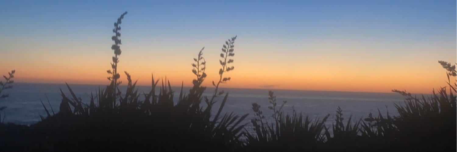 Chikkie22769's profile banner image