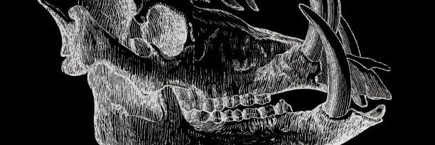abattoirprince's profile banner image