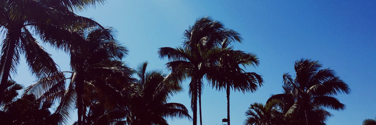 KloeSchultz's profile banner image