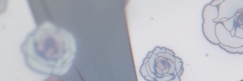 유설⪩⪨︎ banner