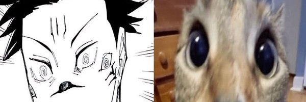 sukuvoid Profile Banner