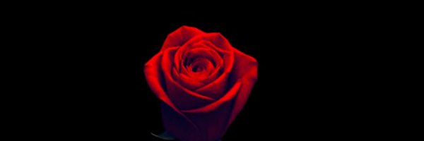 Sap19___ Profile Banner