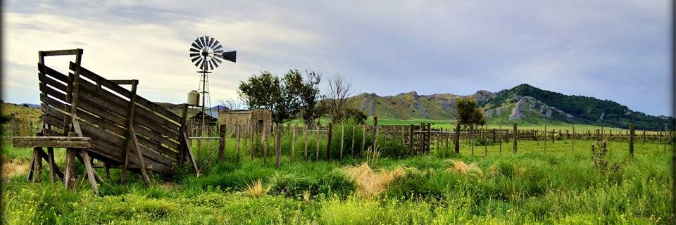 FedeBerken's profile banner image