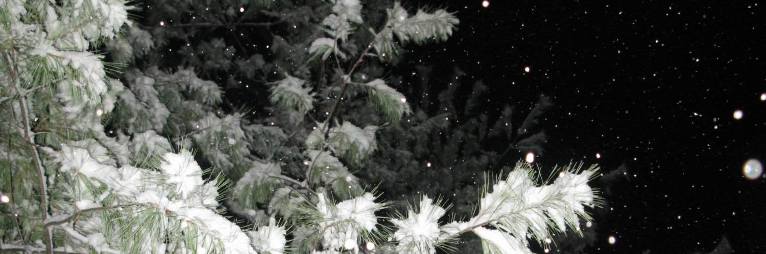 najingtiger's profile banner image
