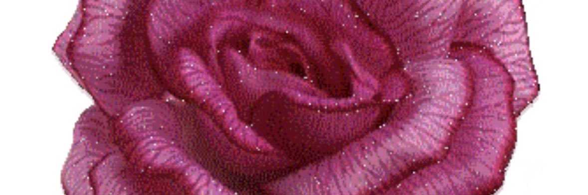 rugergrl's profile banner image