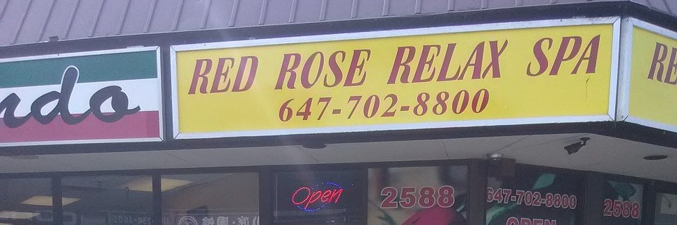 RaniRedRose's profile banner image
