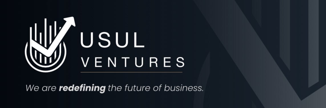 usulventures's profile banner image