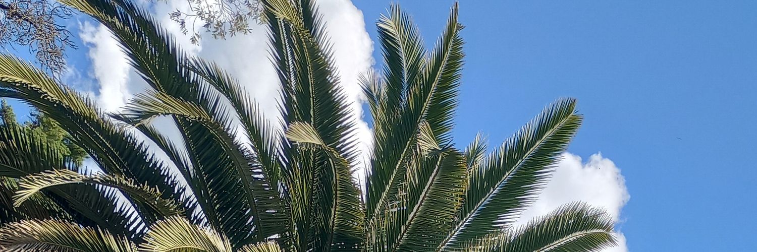 galloandre's profile banner image