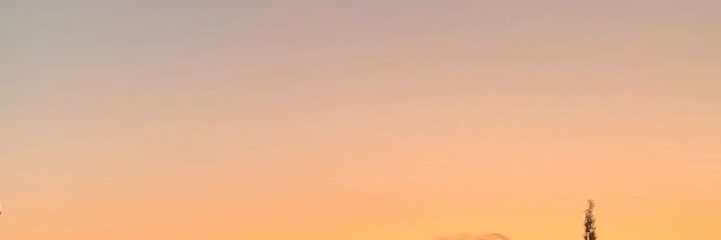 vvirsha's profile banner image