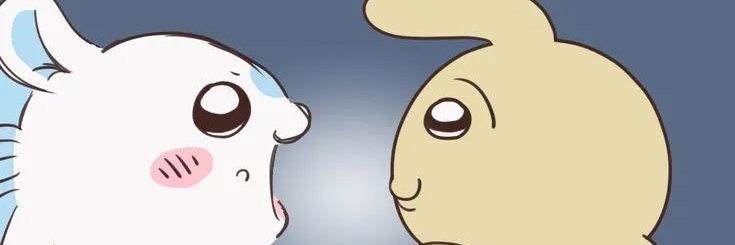 Kibbs_xd banner